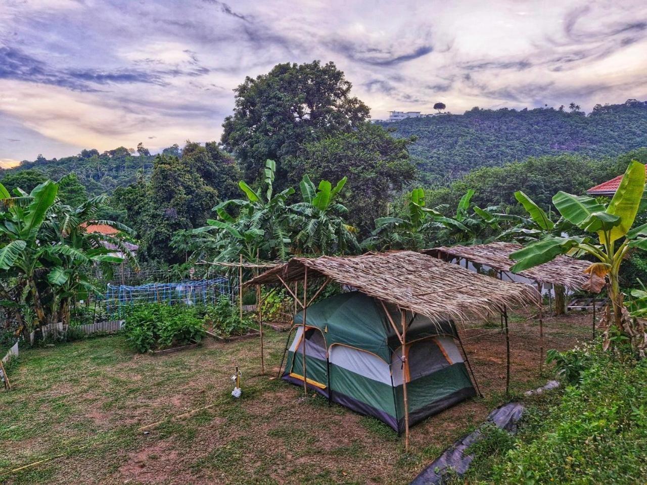 Готель Samui Camping Farm Laem Sor Екстер'єр фото